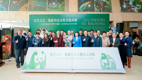 大熊猫 金丝猴 双宝 文化艺术展开幕,展览将持续到5月31日